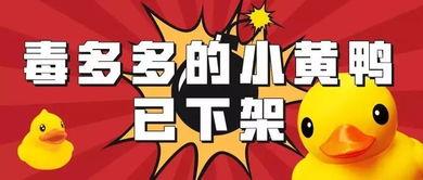 遇见小黄鸭合伙人爆料视频 第2张 遇见小黄鸭合伙人爆料视频 第2张
